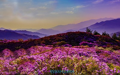 지리산 팔랑치