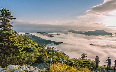 산정에서