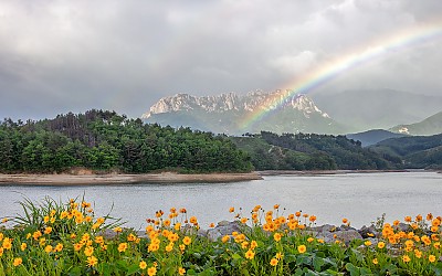 울산암