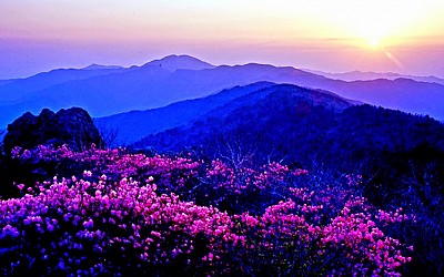 지리산