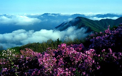 삼산