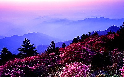 지리산