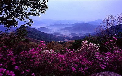삼산