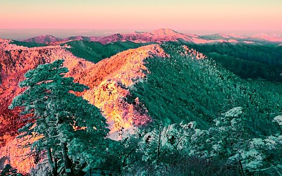 지리산