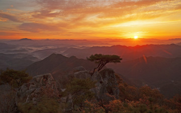 여명과 일출 전시한 사진 27