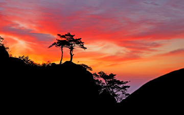 여명과 일출 전시한 사진 15