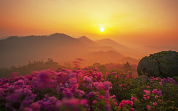 여명과 일출 전시한 사진 5