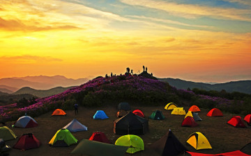 여명과 일출 전시한 사진 7