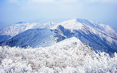 좋릉 아침
