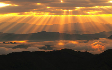여명과 일출 전시한 사진 17