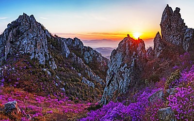 여명과 일출 전시한 사진 8