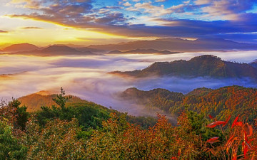 여명과 일출 전시한 사진 24