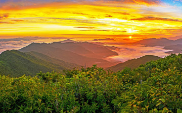 여명과 일출 전시한 사진 3