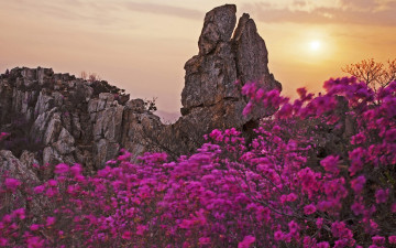 여명과 일출 전시한 사진 6