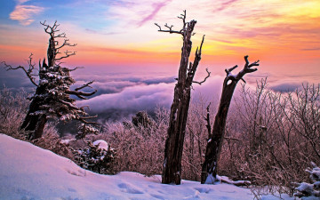 여명과 일출 전시한 사진 26