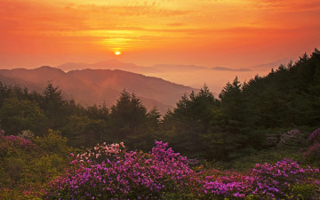 여명과 일출 전시한 사진 9