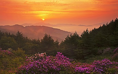 여명과 일출 전시한 사진 9