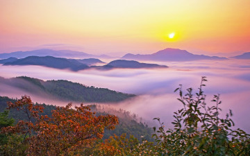 여명과 일출 전시한 사진 18