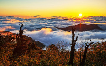 여명과 일출 전시한 사진 19