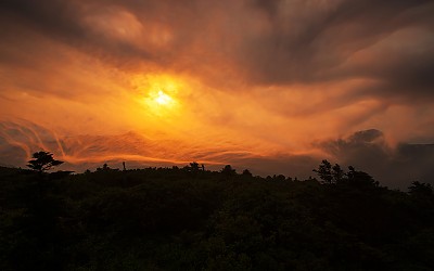 여명과 일출 전시한 사진 13