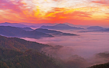 여명과 일출 전시한 사진 29