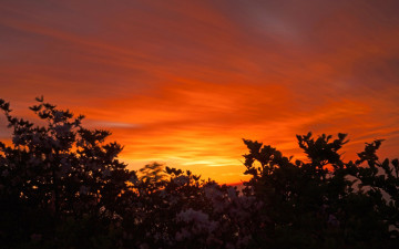 여명과 일출 전시한 사진 16