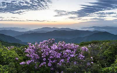 오랜만에 선 중봉