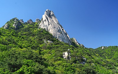 도봉산 신록