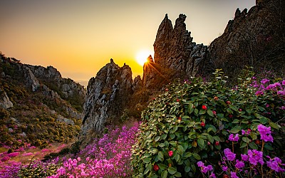 덕룡산