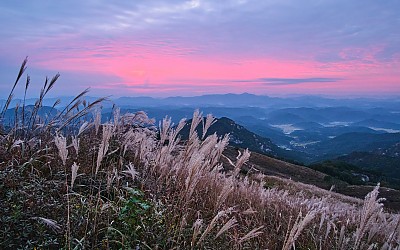 황매산