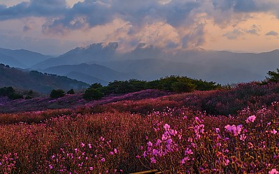 비슬산