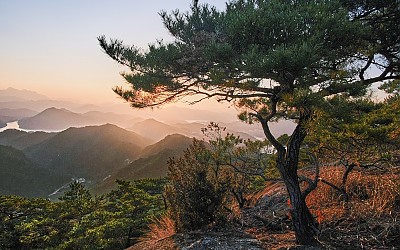 외솔봉에서