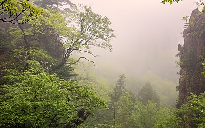 설악 수렴동
