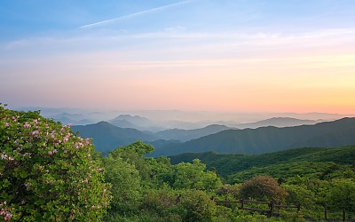 봄 소백