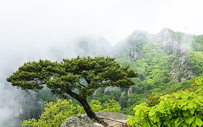대둔산신록