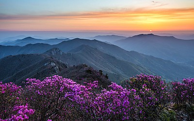 가지산