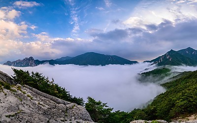 성인대