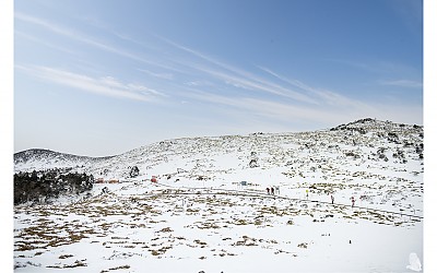 산 기슭
