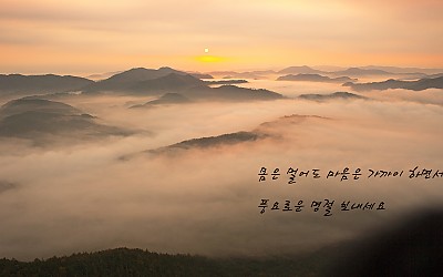 좋은 아침