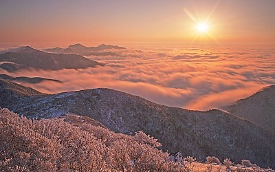 송구영신