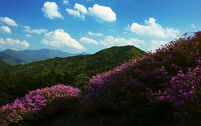 좋은 아침