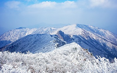 좋은 아침