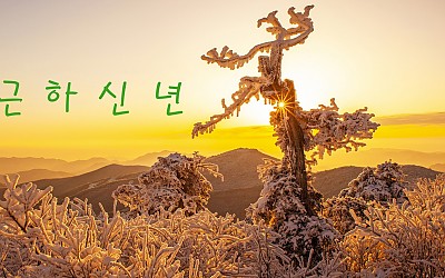 좋은 아침