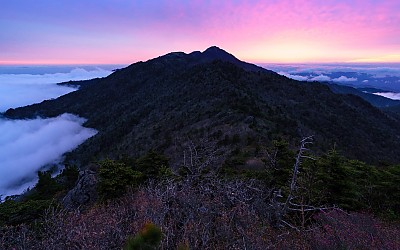 세석