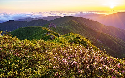 가지산