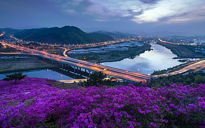 와룡산