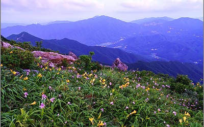 무룡산