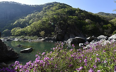 봄