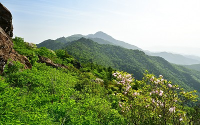촛대봉 늦은 봄