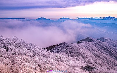 민주지산 설경
